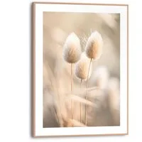 Reinders! Poster Plumes, Wohnzimmer - Grasfedern - Beige - MDF - Blumen und Pflanzen - 30x40 cm