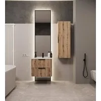 welltime Waschtisch TIBU mit Waschbecken. 2 Schubladen. 2 Breiten (60/80cm) und 4 Farben, Badschrank mit Waschbecken, Softclose, Maße B/H/T: 61/53/47 cm