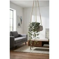 finestgreen Blumenampel Hanging Eileen, Frostfest & UV-beständig – für Innen- und Außenbereich