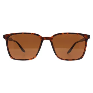 Montana Square Unisex Schildkröte Braun Polarisiert MP186