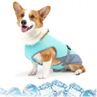 Diwzbyn Hundemantel Kühlweste für Hunde, Hundekühlungsmantel für heiße Sommertage, Kühljacke für Aktivitäten Draußen Wandern Training