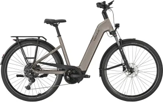E-Bike  - Pegasus Premio Evo 10 Lite   / Akku: 800 Wh  - 45 cm