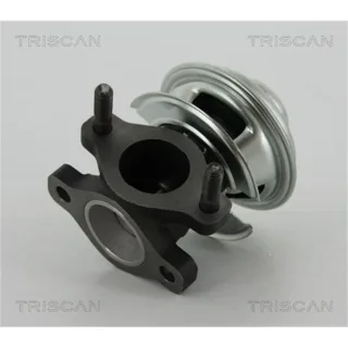 Triscan AGR-Ventil Hyundai Terracan 2,9