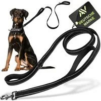 AVANA Hundeleine reflektierende Führleine integrierter Kurzführer 1,5 Meter lange Leine, Nylon, 2 gepolsterte Handschlaufen, für große und mittelgroße Hunde