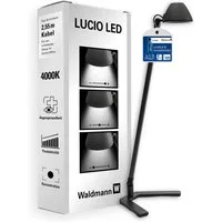 Waldmann LED Schreibtischlampe, LUCIO HOME Schreibtisch Lampe & LED Tischleuchte in Profi Qualität, LED wechselbar, Neutralweiß, Mit Standfuß & USB, Für Homeoffice, Schreibtisch & Lernen, 4000K
