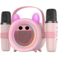 BBG Karaoke Box für Kinder mit 2 kabellosen Mikrofonen Karaoke-Maschine (5 W, Tragbar mit Bluetooth, Licht & Stimmeneffekten, Aufnahme)