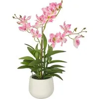 Kunstorchidee Dendrobie, Creativ green, Höhe 55 cm, mit Real-Touch-Blüten