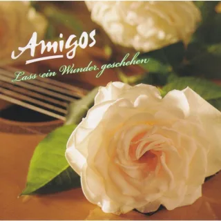Lass Ein Wunder Geschehen [Audio CD] Amigosdie