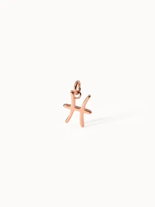 PURELEI Fische Zodiac Charm