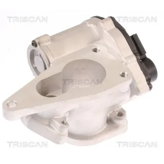 Triscan AGR-Ventil Renault Grand Laguna Megane Sc?nic Suzuki Grand 1,