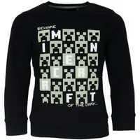 Minecraft Kapuzensweatshirt MINECRAFT SWEATSHIRT Pullover schwarz Pulli 116-152