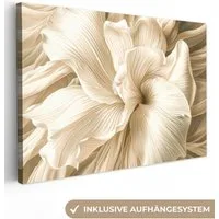 OneMillionCanvasses® Leinwandbild Abstrakt - Beige - Blumen - Natur, Fotodruck (1 St), Leinwand Bilder Klein, Wand Dekoration Aesthetic 30x20 cm