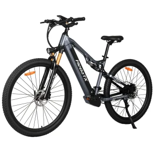 [EU DIRECT] Heda TX TX19 Electric Bike 48V 19.2Ah 1000W Motor Recommended Top Speed 25KM/H 29x2.4 Inch Tire 80KM Mileage