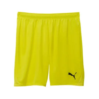 Puma teamGOAL Shorts 705752