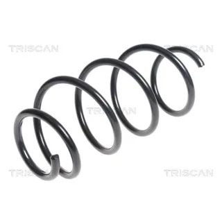 Triscan Feder vorne Peugeot Rcz 1,6 875028229