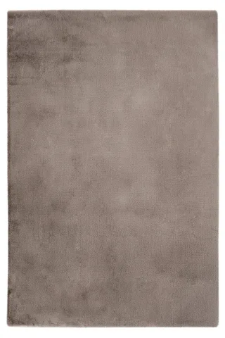 120 x 170 cm