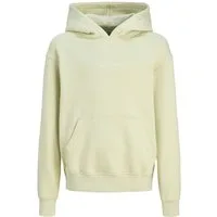 Jack & Jones Junior Sweatshirt JORVESTERBRO SWEAT HOOD JNR