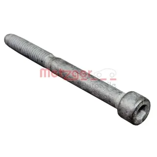 Metzger Schraube f?r Einspritzd?senhalter Citroen Ford Peugeot 0870135S
