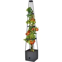 Spetebo Rankhilfe Tomaten Rankhilfe im Topf - 150cm H - Anwuchshilfe Stück, 1 St., Pflanztopf mit Rankhilfe, mit Bewässerungsboden