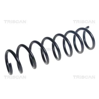 Triscan Feder hinten BMW 5er F10 875011270