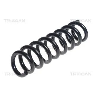 Triscan Feder hinten BMW 3er F30 875011199