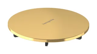 Hansgrohe Fertigset RainDrain Staro Ablaufgarnitur für Duschwanne Polished Gold Optic,60058990 60058990