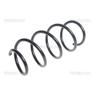 Triscan Feder vorne Seat Leon 875029437