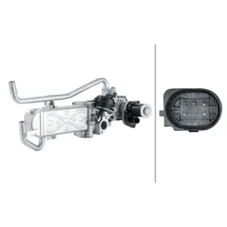 Hella AGR-Ventil Seat Ibiza Skoda Fabia Roomster VW Polo
