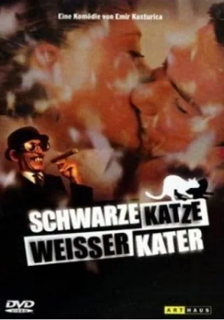 Schwarze Katze weißer Kater [DVD] [1999]