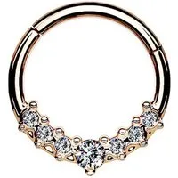 Taffstyle Nasenpiercing Septum Piercing Ring Segmentring Clicker Scharnier mit Kristallen, Nasenpiercing Nasenring Ohrpiercing Ohr Nase Tragus Helix Brust Intim