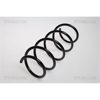 Triscan Feder vorne Renault Megane 2 87502550