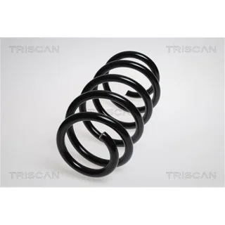 Triscan Feder vorne Fiat Ducato 250 875015183