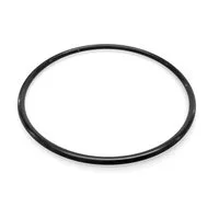 Waterman Pool-Filterpumpe O-Ring für Vorfilterdeckel für 2260149 (1-tlg)