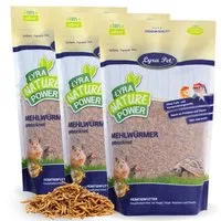Lyra Pet 3 kg Lyra Pet® Mehlwürmer getrocknet, für: Wildvogel, Nager, Reptilien, Fisch