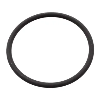 Febi Dichtring f?r Einspritzpumpe Nissan Pathfinder Opel Movano A Renault Laguna
