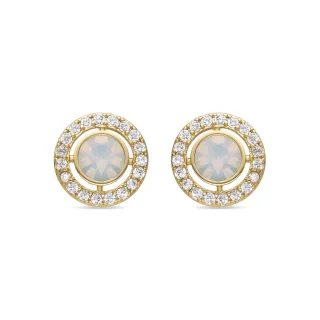 Luxenter Ohrringe mit glänzendem Zirkonia 18k Gold Finish - Riashe