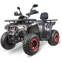 Smarty Quad 200cc maxi Kinder Quad Quablo CVT RS Platin