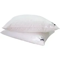 billerbeck Gänsefederkopfkissen Ginnie 15, Kissen ist Allergiker freundlich (Hausstauballergiker), Füllung: 85% Gänsefeder, 15% Gänsedaunen, Bezug: 100% Baumwolle, Das Gänsedaunenkissen für höchsten Schlafkomfort