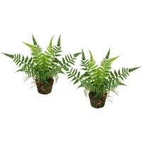 Kunstpflanze Künstlicher Waldfarn im Topf, I.GE.A., Höhe 23 cm, 2er Set Farn Büsche Pflanze Deko Grünpflanze Waldpflanze Zimmerpflanze