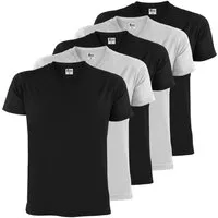ALPIDEX V-Shirt T-Shirts Herren 5er Set V-Ausschnitt – verschiedene Größen und Farben