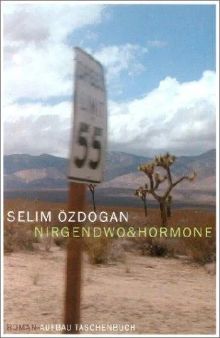 Nirgendwo&Hormone: Roman