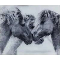 WENKO Spritzschutz Glasrückwand Horses Spritzschutz Herd Spüle Wandblende, Gehärtetes Glas mit Pferde-Motiv 60 x 50 cm Grau