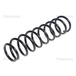 Triscan Feder hinten Mitsubishi Lancer 87504297