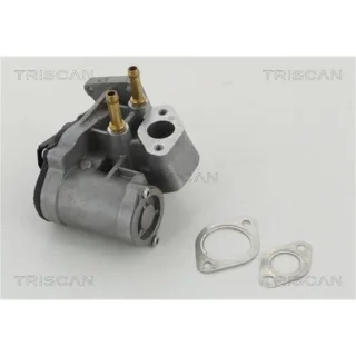 Triscan AGR-Ventil Audi A3 Skoda Octavia VW Eos Golf Passat Touran