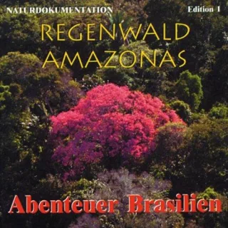Regenwald Amazonas