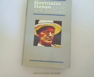 Große Erzählungen 20 Erzählungen Hg. Volker Michels
