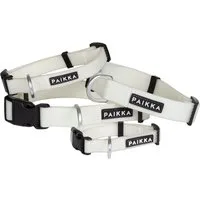 PAIKKA Hunde-Halsband Hundehalsband "Glow Collar"
