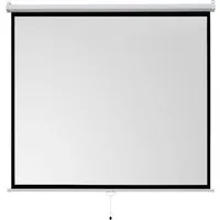 Celexon basic line Rolloleinwand (schwarze Rückseite)