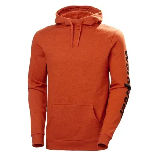 HERREN HOODIE MENS LOGO (79264-290)