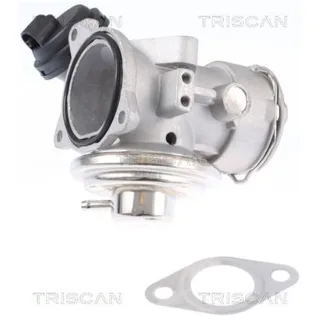 Triscan AGR-Ventil VW New Beetle 1,9 Tdi